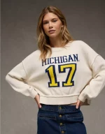 AE Michigan Wolverines Cropped Sweater
