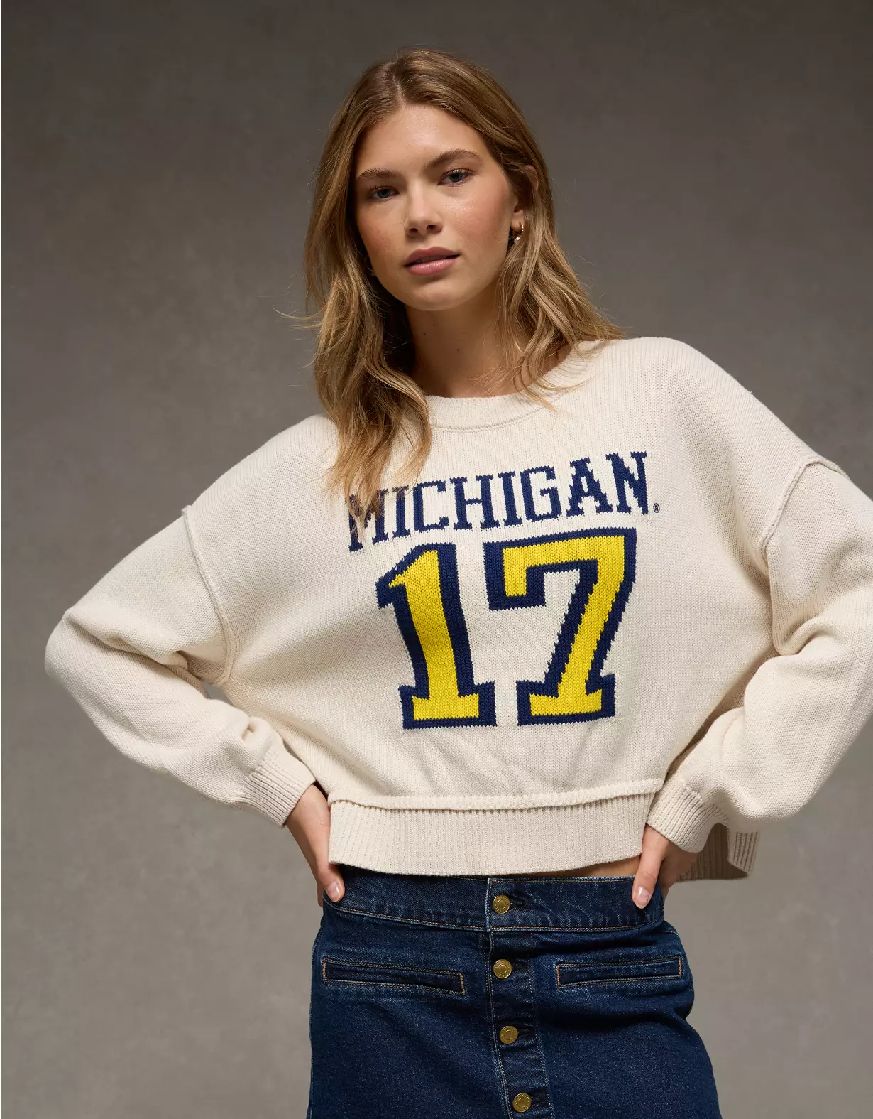 AE Michigan Wolverines Cropped Sweater