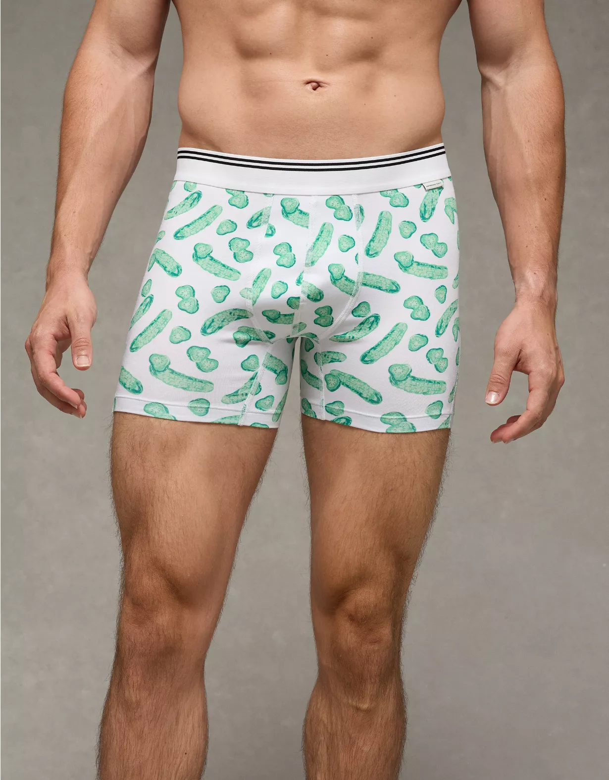 AEO Men's Pickles 4.5" Ultra Soft Boxer Brief