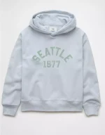 AE Everyday Luxe Graphic Hoodie