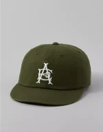 AE Icon Dad Hat