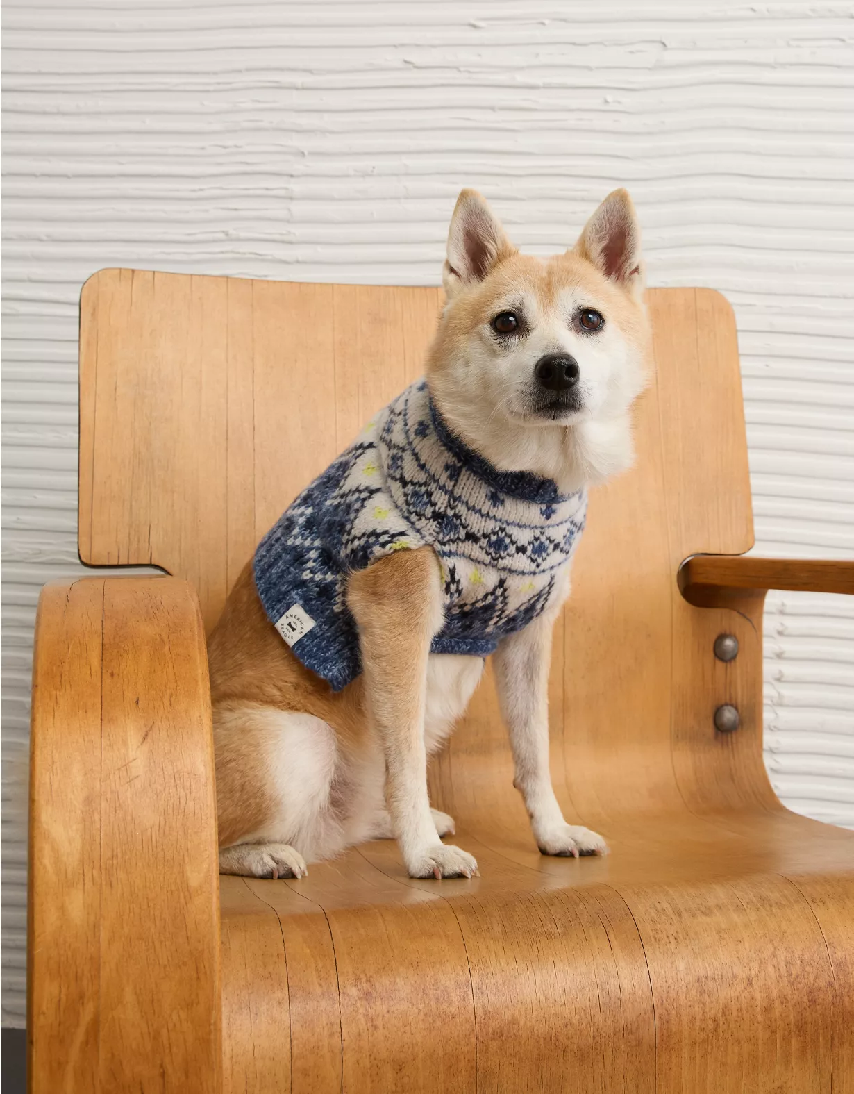ABO Fairisle Dog Sweater