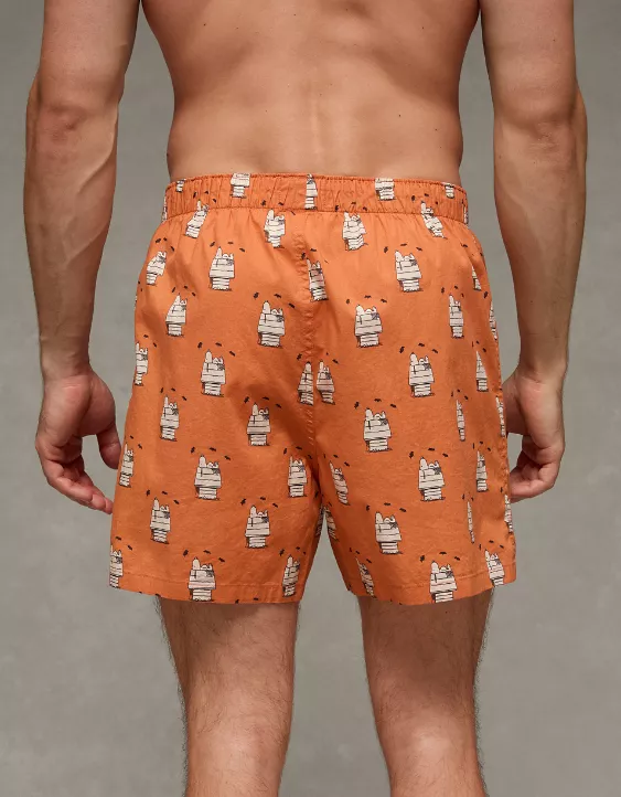 AEO Snoopy Cobweb Boxer Short - Image 2