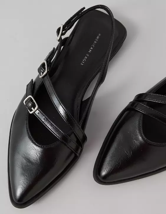 AE Pointed-Toe Flat - Image 2